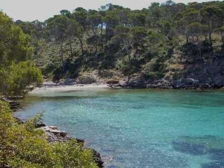 sunset boat excursion mallorca