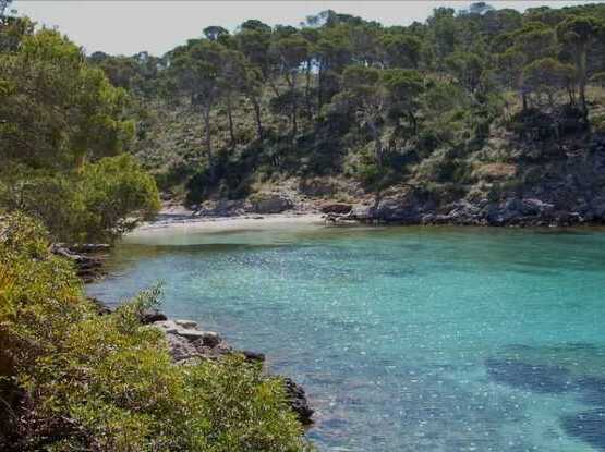 yacht charter formentor