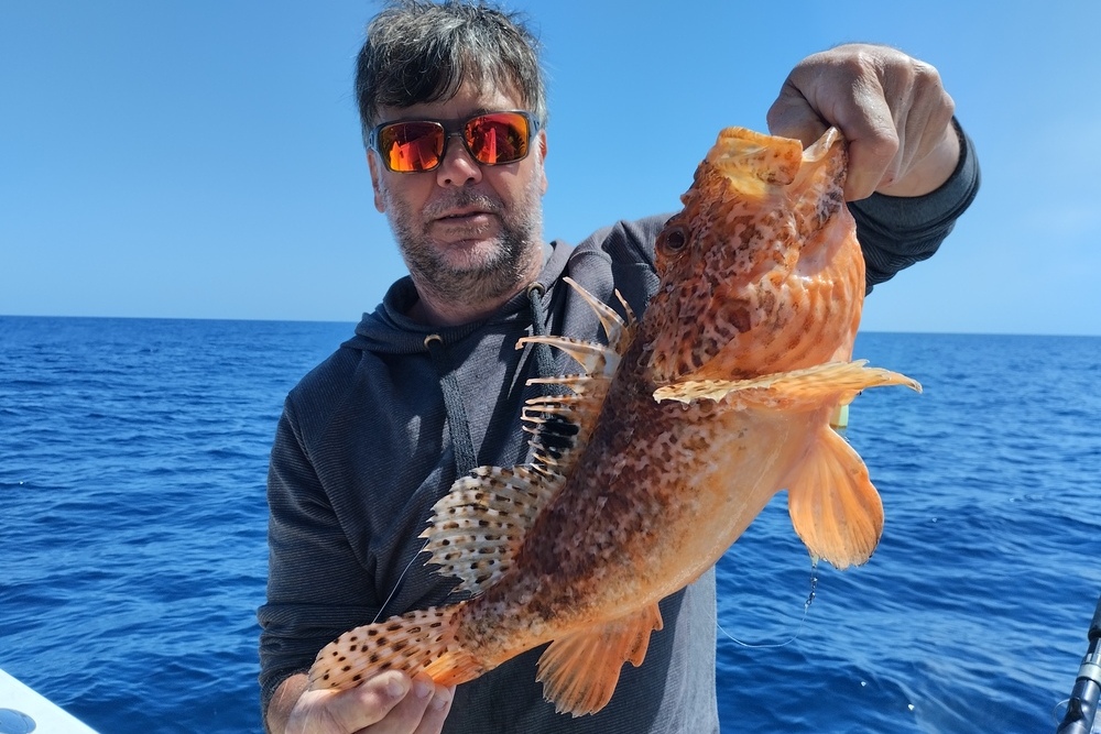 boat rental mallorca with skipper